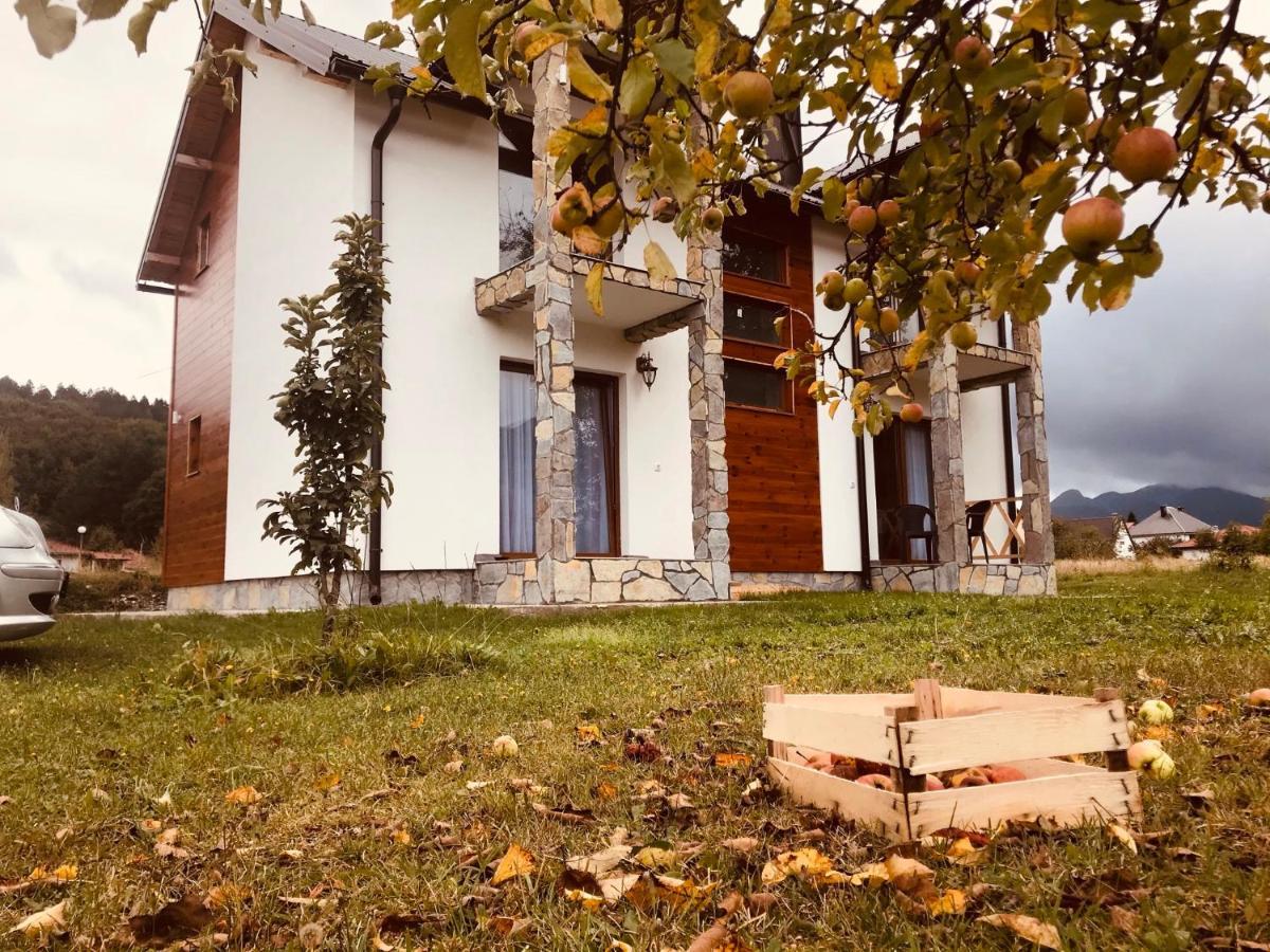 קולאסין Vila Montenegrina מראה חיצוני תמונה